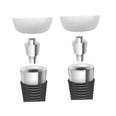 Cina Dental Implant Bars: Revolutionizing Overdenture Stability in vendita