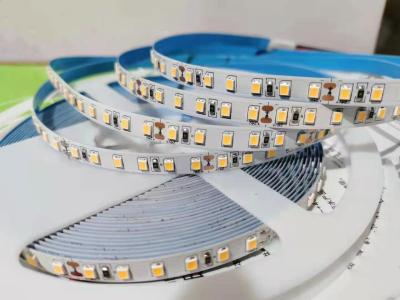 China flexible led light strip waterproof W WW NW color DC12V 24V 5 Meter 120 led 2835 flexible led strip SMD indoor outdoor for sale