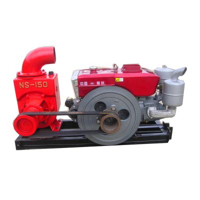 Cina factory price single cylnder engine agriculture diesel pump set in vendita