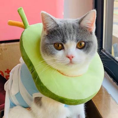 China Adjustable Cute Quick Release Pet Recovery E-Collar For Dog Cat Pet Collar Soft Comfortable Protective Cone for sale