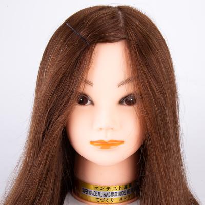 China 100% Hot Roll 16inch Brown Hair Training Head With Best Quality for sale