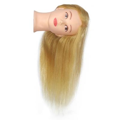 China 100% Natural Hair Salon Equipment Wholesale Beauty Hair Mannequin Female Hairdresser Training Head for sale