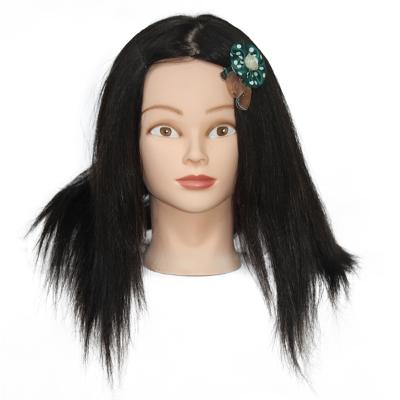 China Hot Roll Beauty School Mannequin Heads 100% Human Hairstyle Training Head With Black Hair for sale