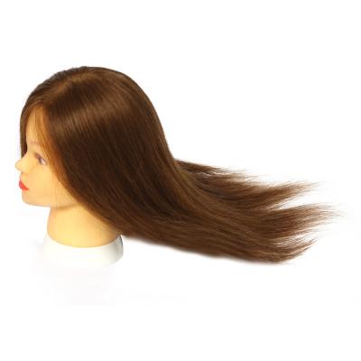 China 100% Hot Roll 16inch Brown Hair Training Head With Best Quality for sale