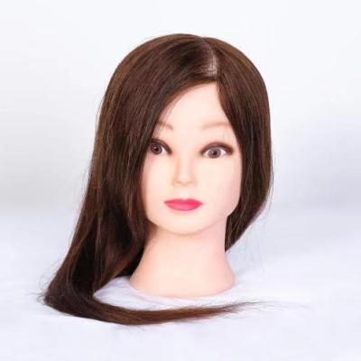 China Best Real Hair 20inch Brown Hair Braiding Price With Animal Hair Mannequin Head For Training for sale