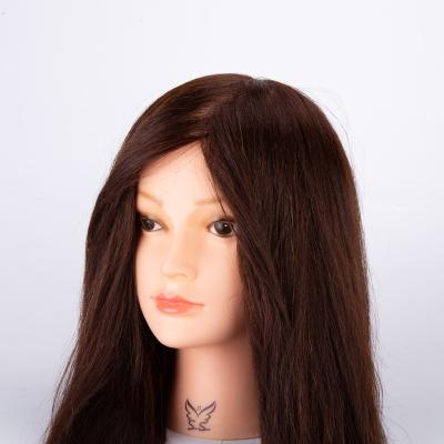 China Silky Straight Wave Chinese Manufacturer Sell Mixed Real Hair 18inch Animal Hair Mannequin for sale