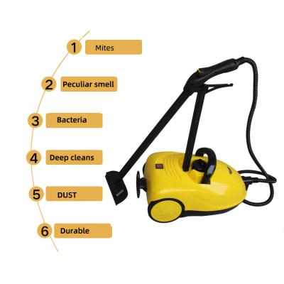 China 2.8L Dual Boiler Capacity High Power Steam Cleaner Car Critical / Home Office Residue Free Cleaning Remove Stains Sterilization With Prevent Dry Burning for sale