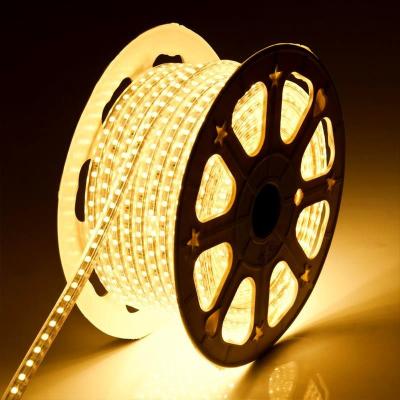 China Regular Or Flash Waterproof CE Certificated LED Rope Light for sale