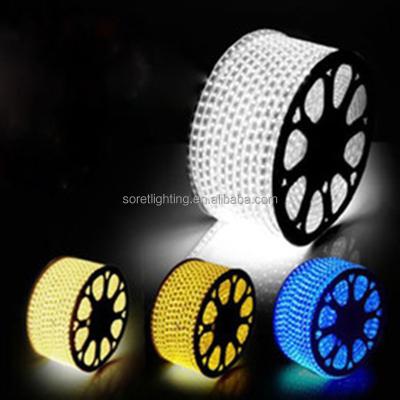 China Decorative Hotel Holiday LED Light Rope Light 10m Short Package Outdoor for sale