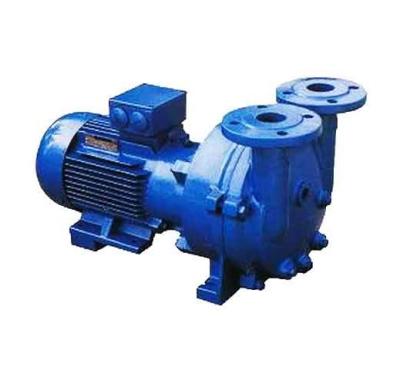 China Other Factory Hot Selling Treatment Biogas Water Ring Horizontal Degassing Industrial Vacuum Pump for sale