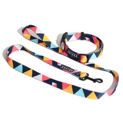 China Art Design Pet Dog Collar Stocked Colored Leash Set 120cm With Adjustable Collar for sale