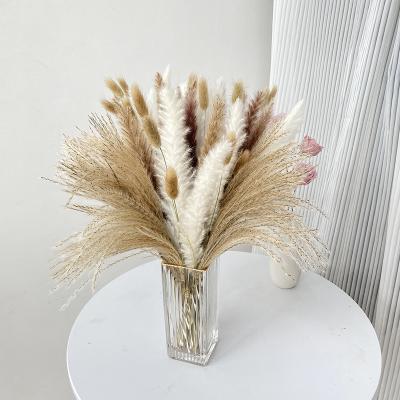 China Hot Sale 60 Gift Sets Natural Dry Wholesale Wild Reed Pampas Grass Bouquet Pampas Grass Pampas Grass for sale