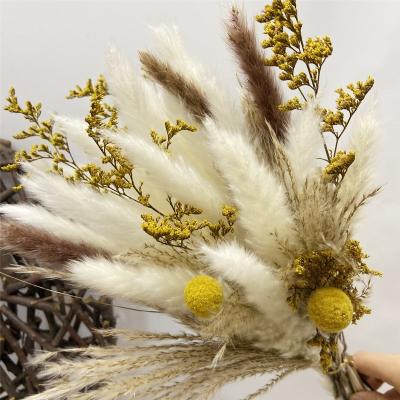 China Hot Sale Gift Wedding Decoration Pampas Grass Blush White Pampas Bouquet Natural Dry Beige Pampas Grass Decor for sale