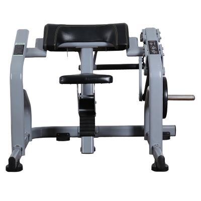 China Commercial use fitness fitness equipment posed biceps fitness machine gym for sale