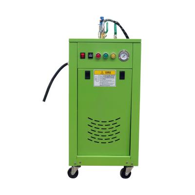 China Auto Cleanig Car Care Car Wash Shop Cleaner Perform 220v Steam Cleaner Car Wash Machine Excellent for sale