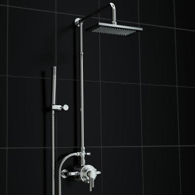 China Durable Wall Exposed Diverter Thermostatic Shower Set With Twin Shower Head for sale