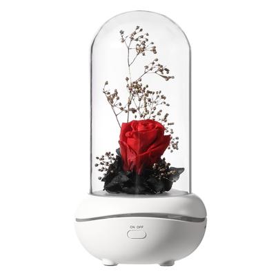 China Morden 2022 Immortal Wireless Aroma Diffuser Lamp Aromatherapy Flower Warm Air Lamp Humidifier Lamp Aroma Diffusers for sale