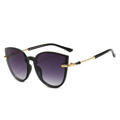 China 2022 new high quality custom contrast high def sport sunglass cat eye enhancing sunglasses for sale