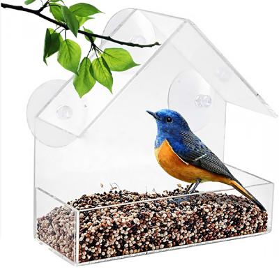 China 3 Cup Squirrel Suction Snoring Proof Extra Strong Acrylic Clear Plastic Hanging Wild Bird Bird Feeder And Drinker for sale