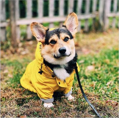 China Windproof Packable Cat Dog Pet Raincoat Various Specifications Durable High Quality for sale