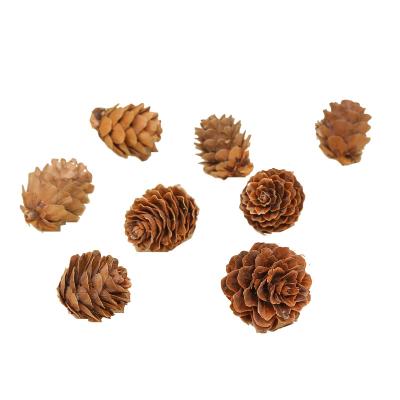 China Creative 1-2cm KOMATSU resin flower Christmas decorations small pine cones ornaments dried flower decoration materials handmade larch for sale