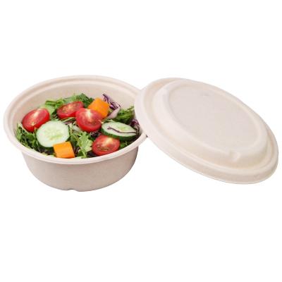 China 600Ml Disposable Bento Microwave Bamboo Fiber Disposable Biodegradable Eco-friendly Food Bagasse Sugarcane Containers Lunch Takeout Box for sale