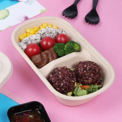 China Factory Price Viable Take Away Package Disposable Box Packaging Lid Quickly Big To Go Disposable Container Food for sale