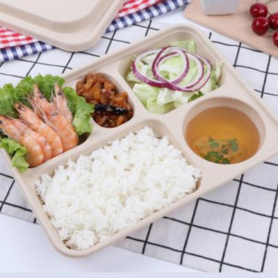 China Disposable Eco-friendly Food Tableware Paper Pulp Food Container Takeout Box With Lid for sale