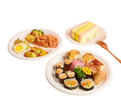 China Modern 100% Compostable Bamboo Supplier Pulp Paper Biodegradable Dinner Food Box Disposable Dishes for sale