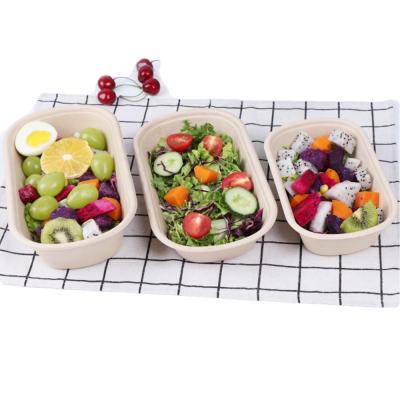 China Disposable Lunch Box Sugar Cane Packaging Paper Bagasse With Lid Bamboo Take Away Boxes Biodegradable Sugar Eco-Friendly Food Container for sale