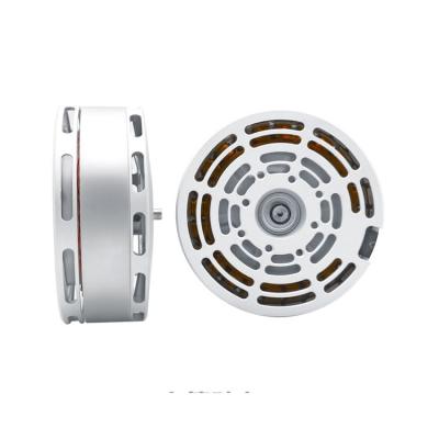 China Low Price Antirust Good Quality Multi-rotor Motor Hanging Up Max Power 1613w DC Motors for sale