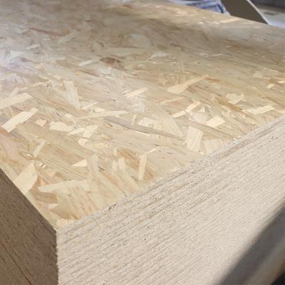 China Cheap Modern Plywood OSB Panel OSB Board (Stain: OSB2) for sale