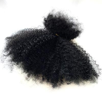 China Free Sample Cuticle 10A Mink Brazilian Hair Raw Virgin Hair Afro Curly Hair Cuticle Aligned Volume For Locs Dreadlocks for sale