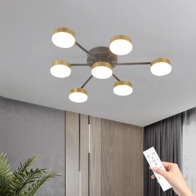 China Minimalist Style Decoration Aluminum Acrylic Indoor Outdoor 220v Remote Control Residential Iron Led Ceiling Light for sale