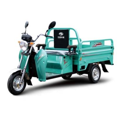 中国 2024年 電気自動車 48V 500W トライサイクル 電動 3輪貨物 12チューブ トライサイクル 販売のため