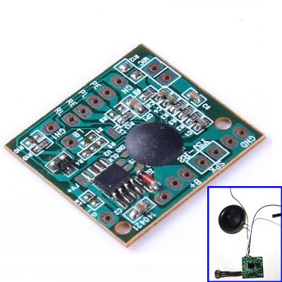 China Sound Module for Toy IC Chip Voice Recorder 120s 120secs Electronic Playback Music Talking Audio Recordable Board for sale