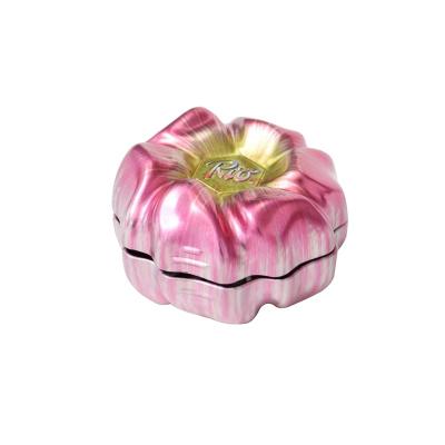 China Recyclable Custom Design Pocket Tin Tin Box Small Mini Mint Tin Storage Box for sale