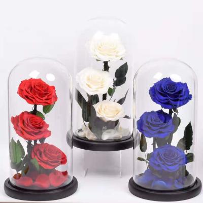 China Lasting amazon bestseller preserved rose in glass dome valentines day gift for diy gifts for sale