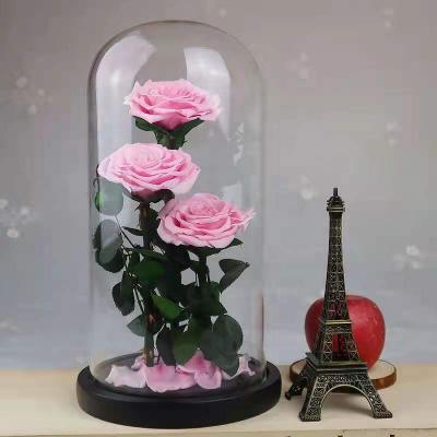 China Colorful Long Life Beautiful 2021 Hot Selling Competitive Price Preserved Rose In Glass Dome For Valentine's Day Gifts for sale