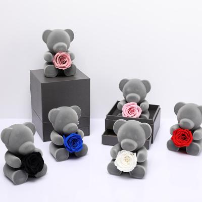 China China Wholesale High Quality Celebration Wedding Preserved Rose Bears With Box For Valentine's Day Gifts for sale