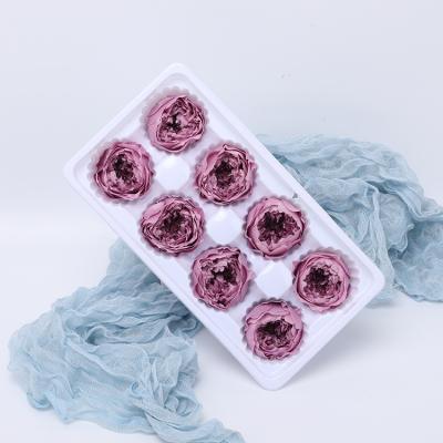 China 2021 Hot Sale Cheap Colorful Preserved Austin Rose Flower 8pcs/box For Gifts for sale