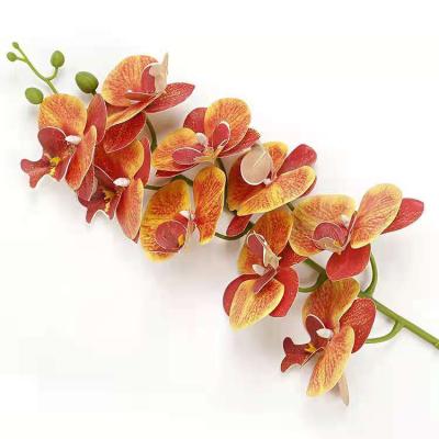 China Long lasting artificial phalaenopsis orchid and butterfly orchids 9 heads for home decor for sale