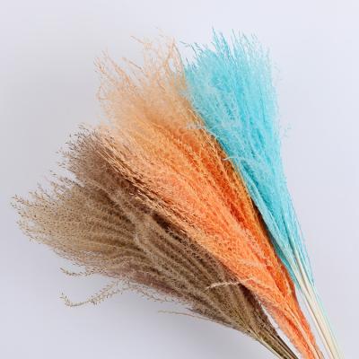 China 2021 Flower Bouquets Decoration Small Colorful Dry Flowers Pampas Grass And Ponytail Beater For Wedding Decoration for sale