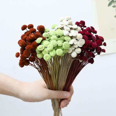 China Popular Art Decoration Multi Color Preserved Flowers Preserved Buttons Chrysanthemum Flowers For Flower Decoration for sale