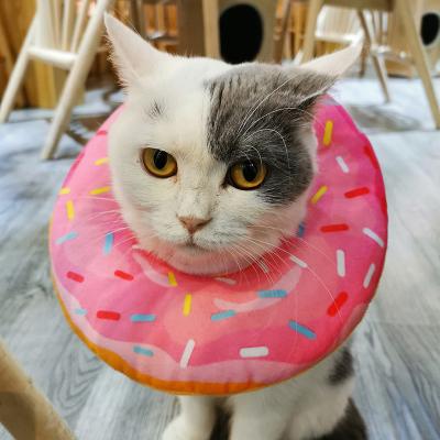 China New Cute Viable Adjustable Neck Collar For Pet Elizabethan Style Pet Collar Cotton Dogs Cats Soft Cone Collar Pet Collar for sale