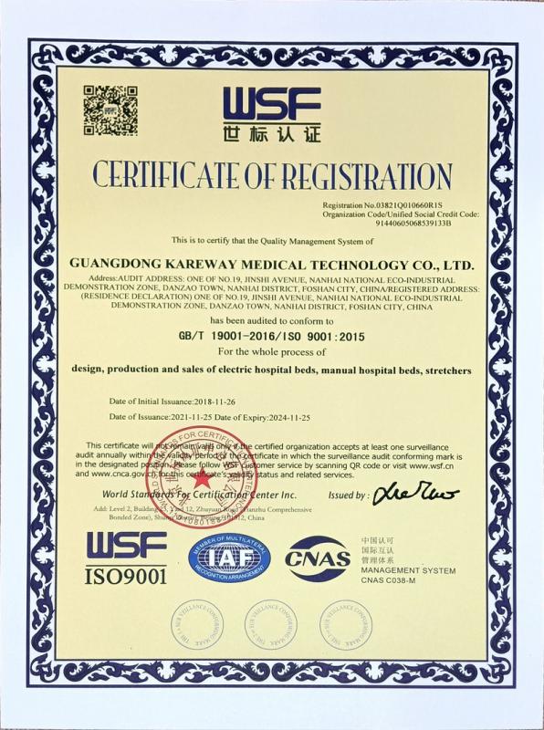 ISO13485 - Guangdong Kareway Medical Technology Co., Ltd.