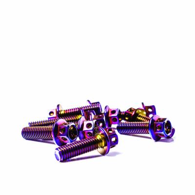 China High Quality HEX Color Plated Titanium Alloy M6 Stainless Steel Motorcycle Screw for sale