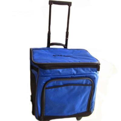 China NATIONAL Factory Direct Wholesale Shopping Portable Insulated Cart Large Thermal Food Carry Bag / Offending Cooler Bag for sale