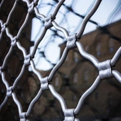 China Beautiful Single Layer Double Layer Grid Galvanized Meg Netting Fence Mesh Rolling Gate for sale