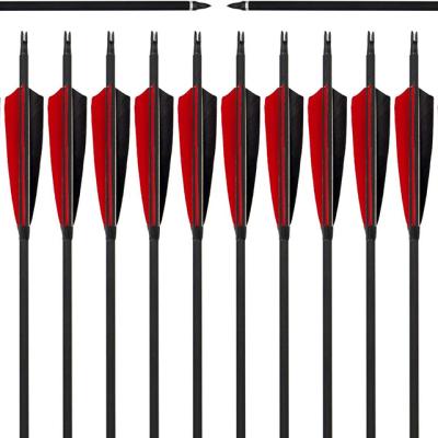 China High Quality Pure Carbon Arrows Carbon Shaft TIR Arrow With Turkey Feather for sale